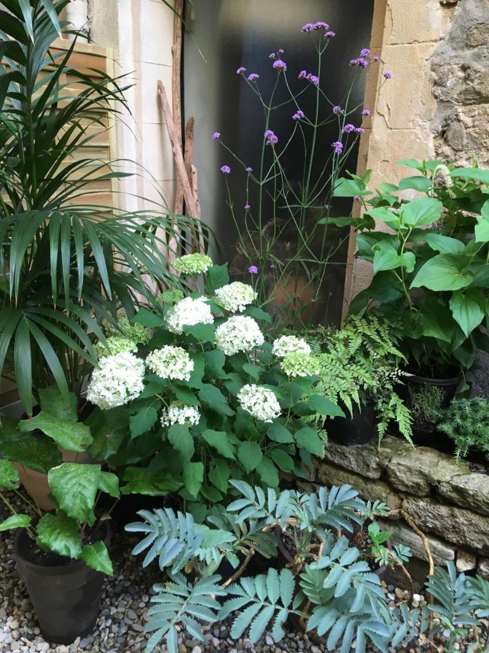 Monte Arena Bed and Breakfast Montaren-et-Saint-Médiers Esterno foto